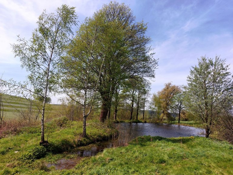 Schönbacher Zehner 2024_Teich Schönbacher Zehner 2024_Teich